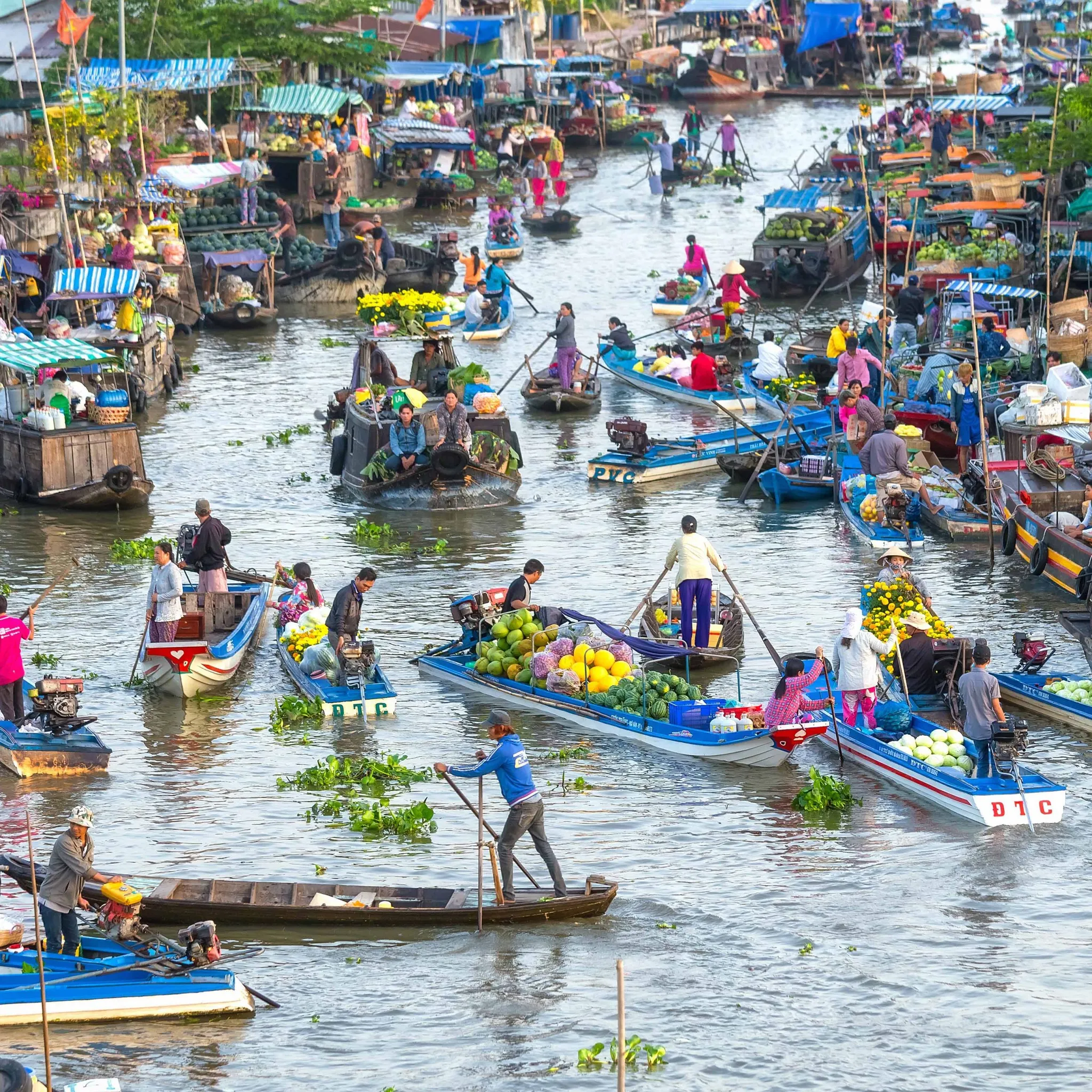 mekong delta 3.jpg