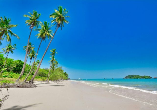 a beach with palm trees and blue water