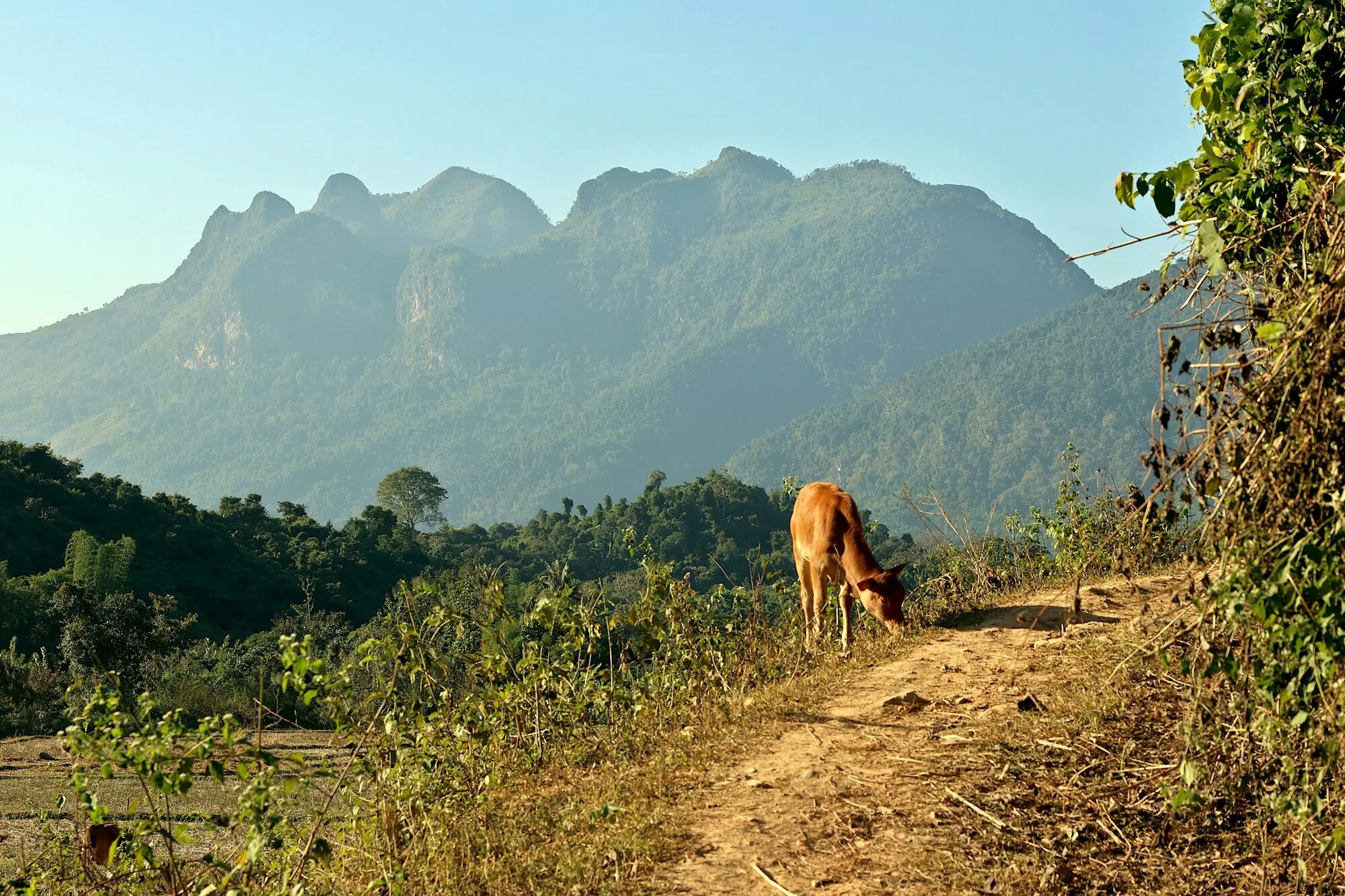Tag 8: Luang Prabang - Nong Khiaw (F)