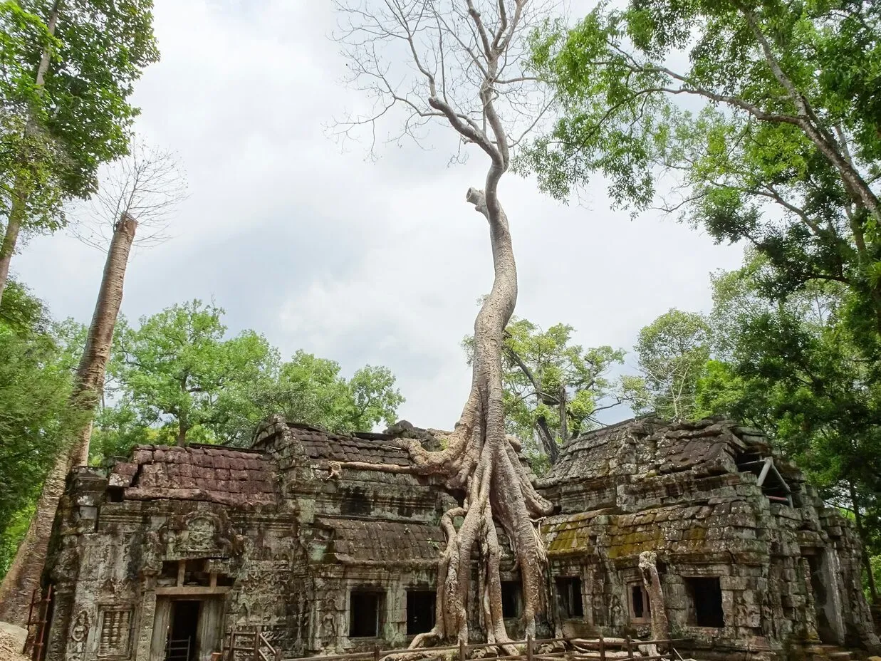 TAG 6: SIEM REAP (F/M)