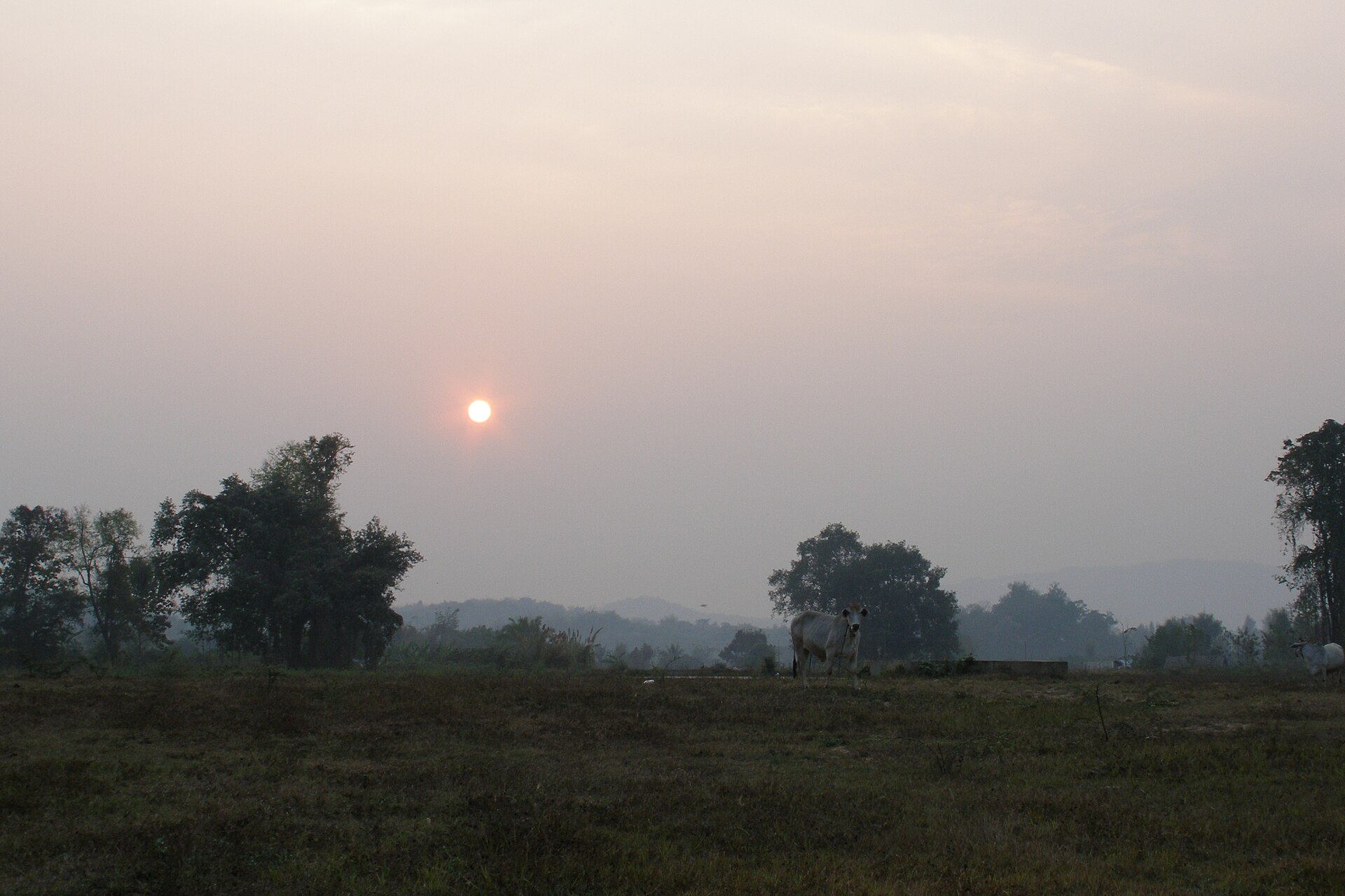 <span>Tag 4</span> Altes Chiang Saen, Höhle von Chiang Dao und Chiang Mai