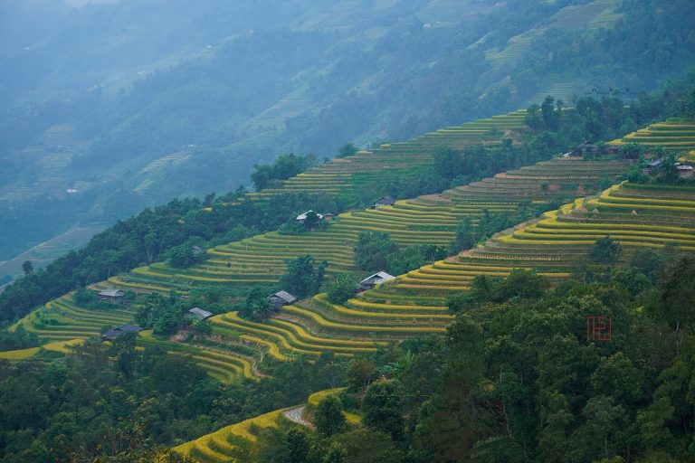 Nordvietnam in der „Goldenen Saison“: Luxusreise in 8 Tagen nach Hoang Su Phi, Sapa und Halong
