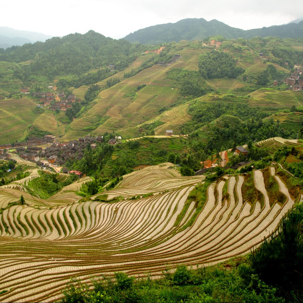 Longji Rice Terraces