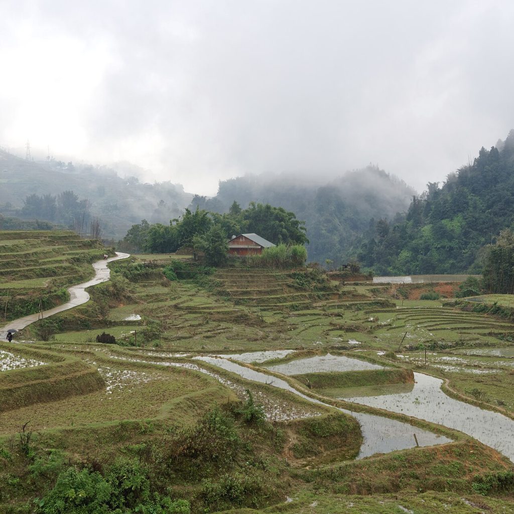 Sapa Rice Terraces