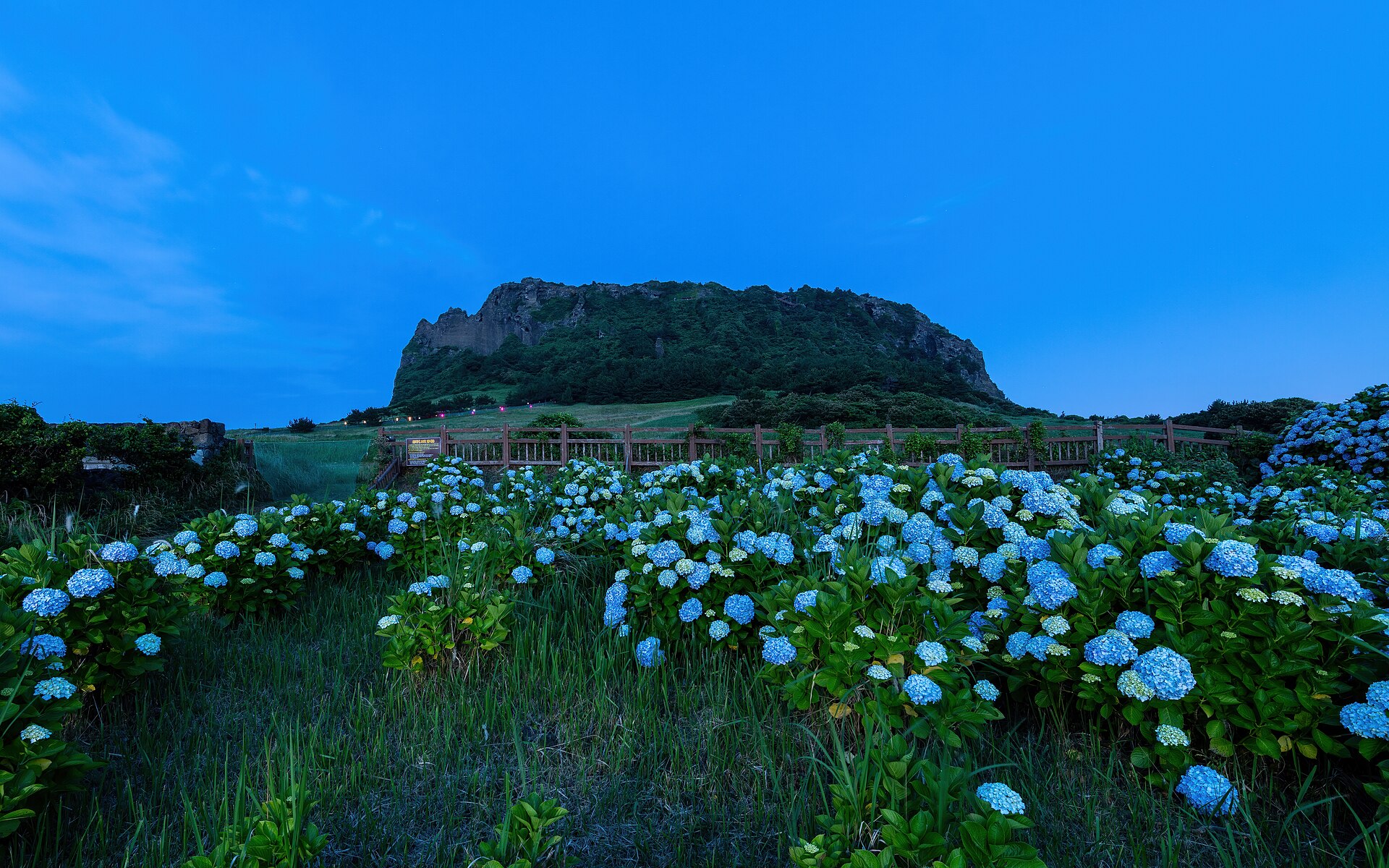<span>Tag 8</span> Flug nach Jeju: Seongsan Ilchulbong und Seongeup