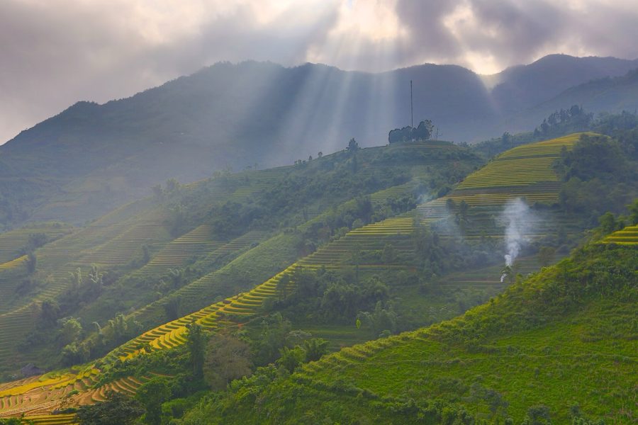 Rice terraces at Trung Chai near Sapa, northern Vietnam