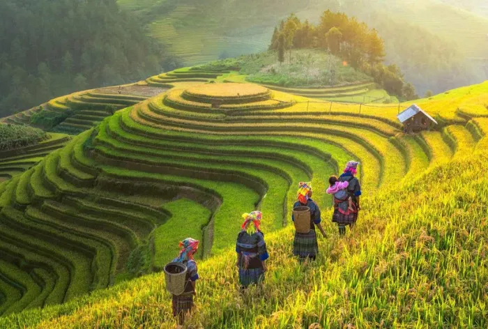 Cruceros en Vietnam - Camboya