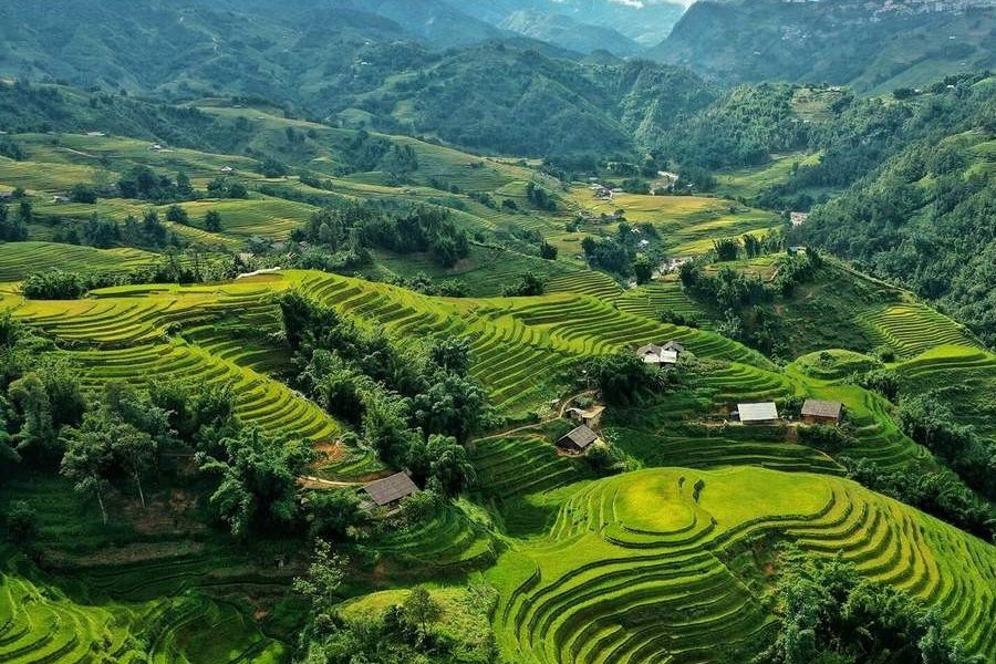 Viaje A Vietnam 15 Días