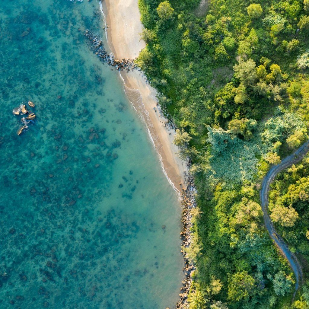 bird's eye view of beach line