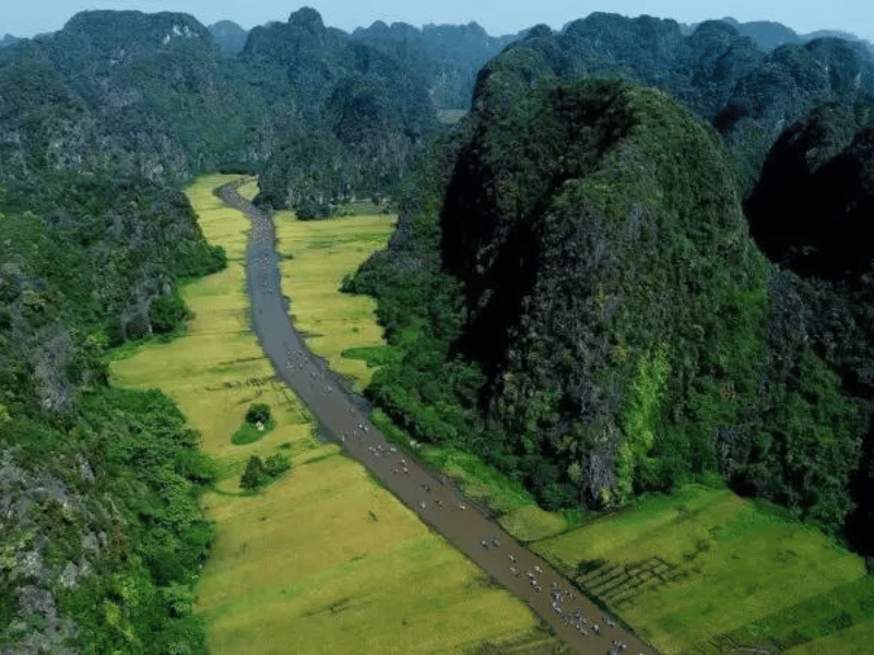 Excursión A Ninh Binh En Un Día: Explorando La Impresionante Belleza Natural 2025