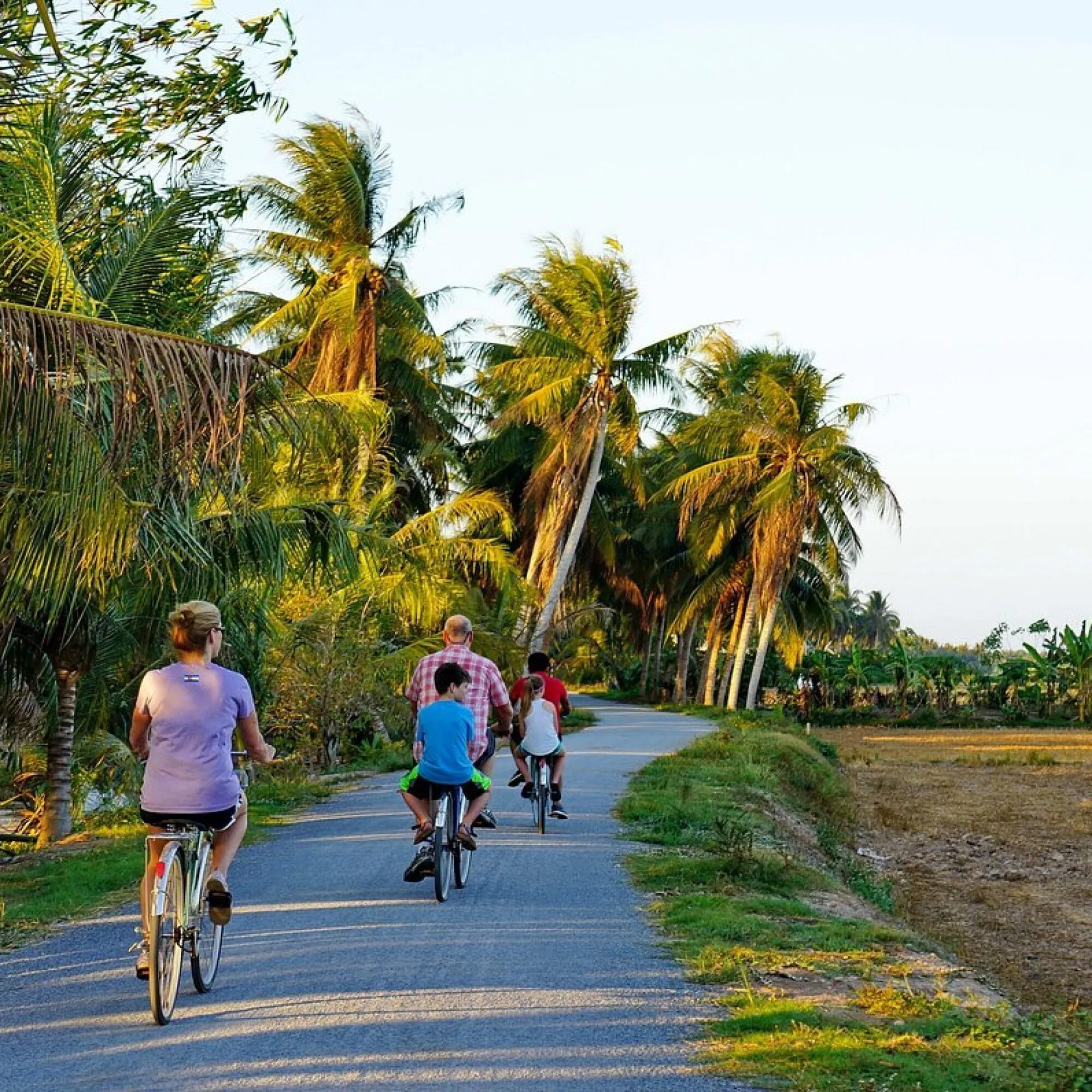 Día 6: Ho Chi Minh – Vung Liem (D/A/C)