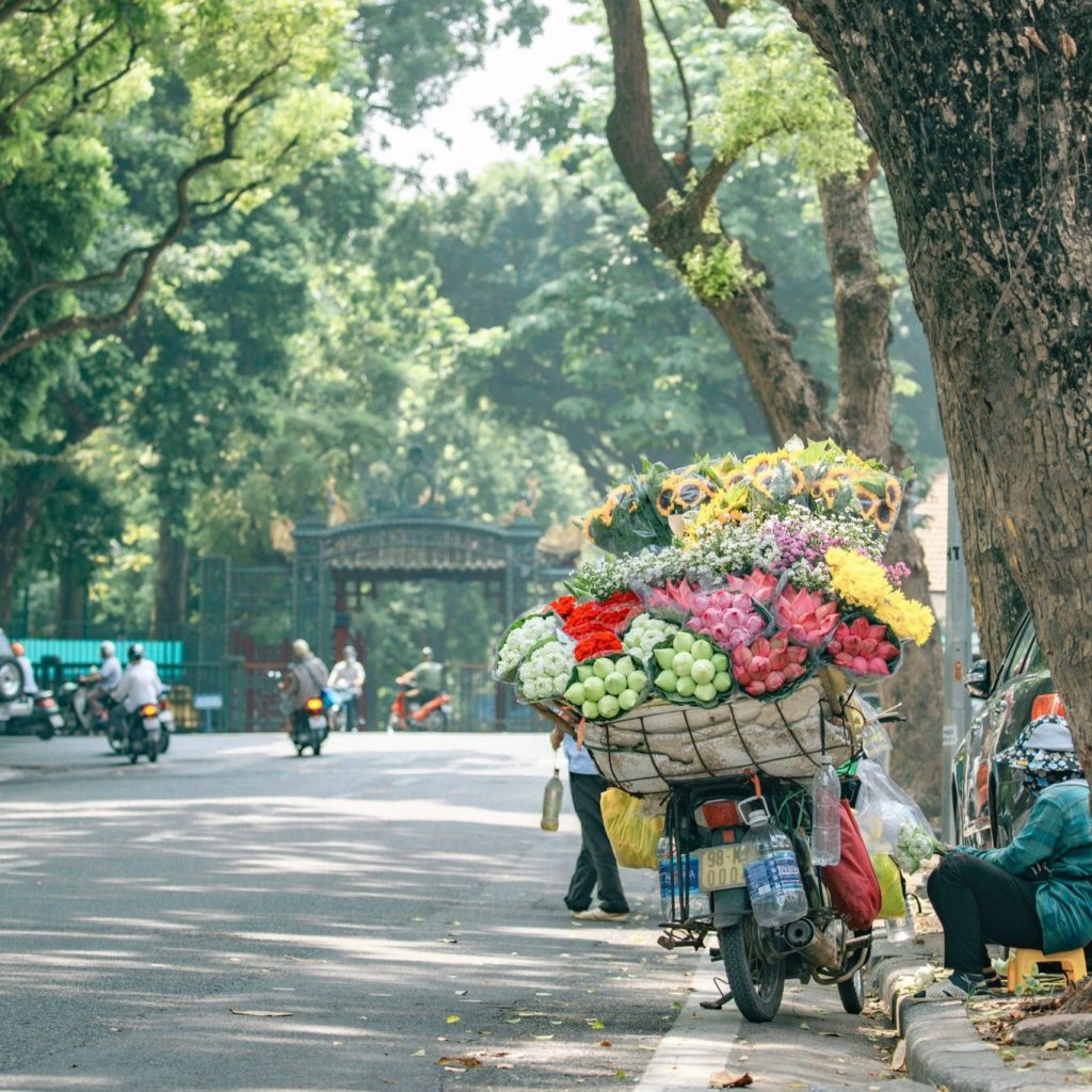 Exploración cultural de Indochina