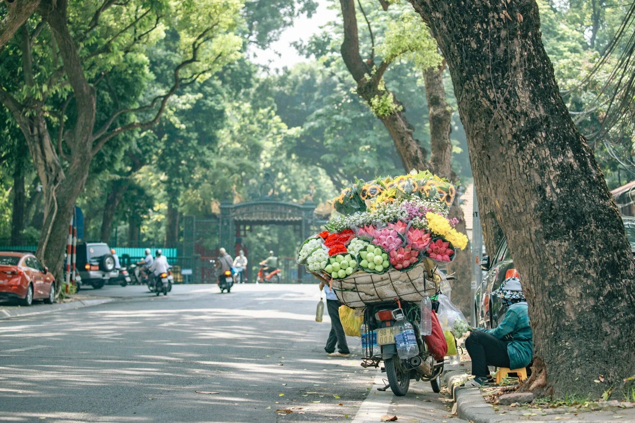 Día 1 : Llegada a Hanoi (C)