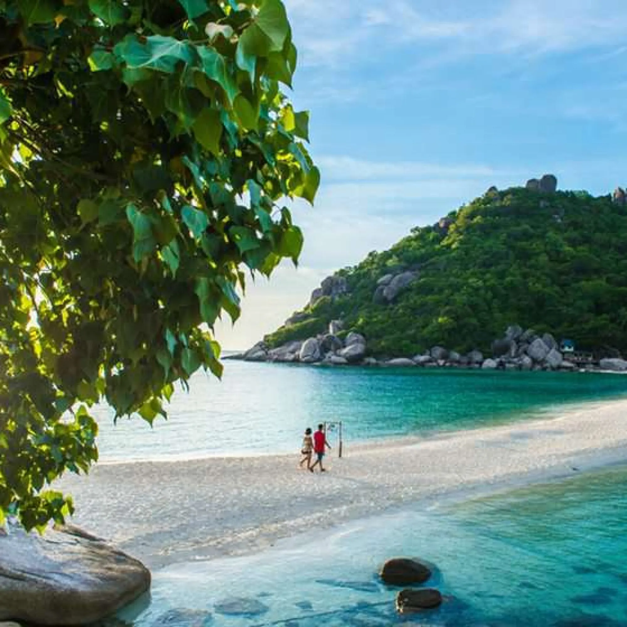 DÍA 10: KOH SAMUI (D)