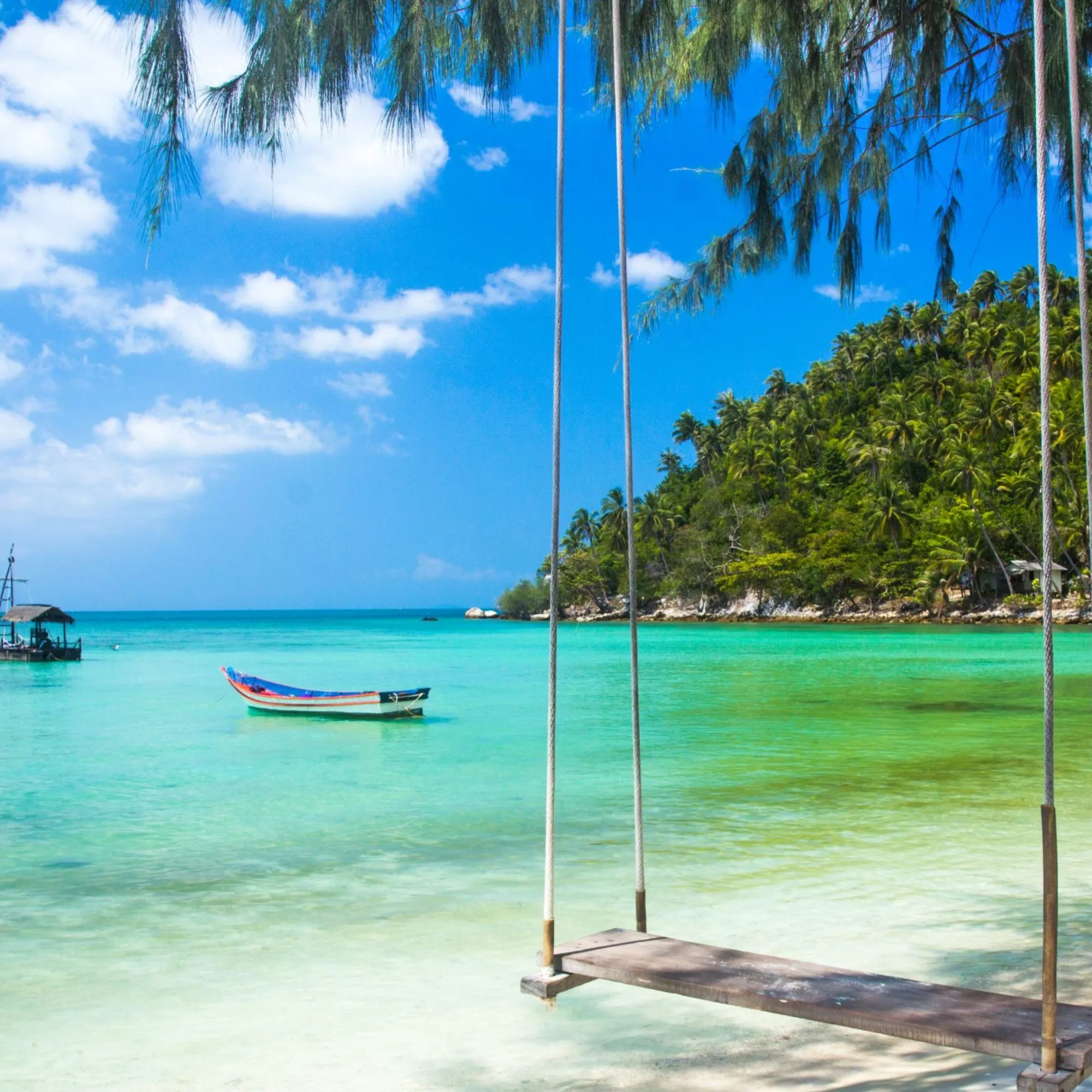 DAY 11: KOH SAMUI (D)
