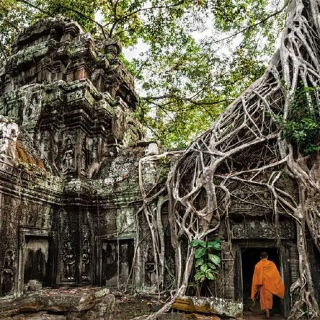 Belleza intemporal de Siem Reap - Phnom Penh
