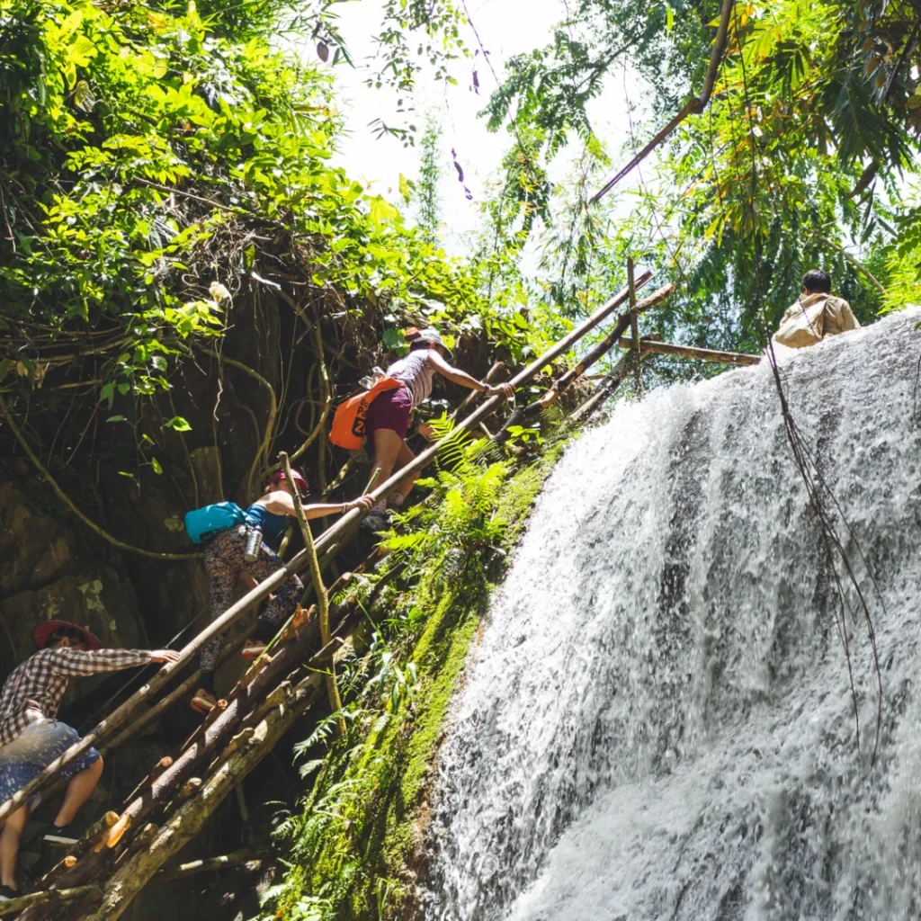Explora la naturaleza de Laos
