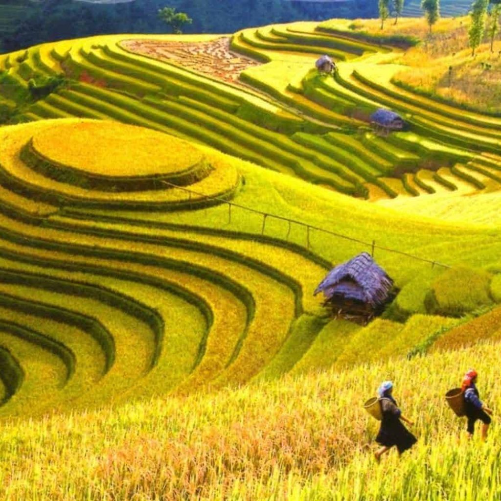 Circuitos por Vietnam Exótico En 3 Semanas