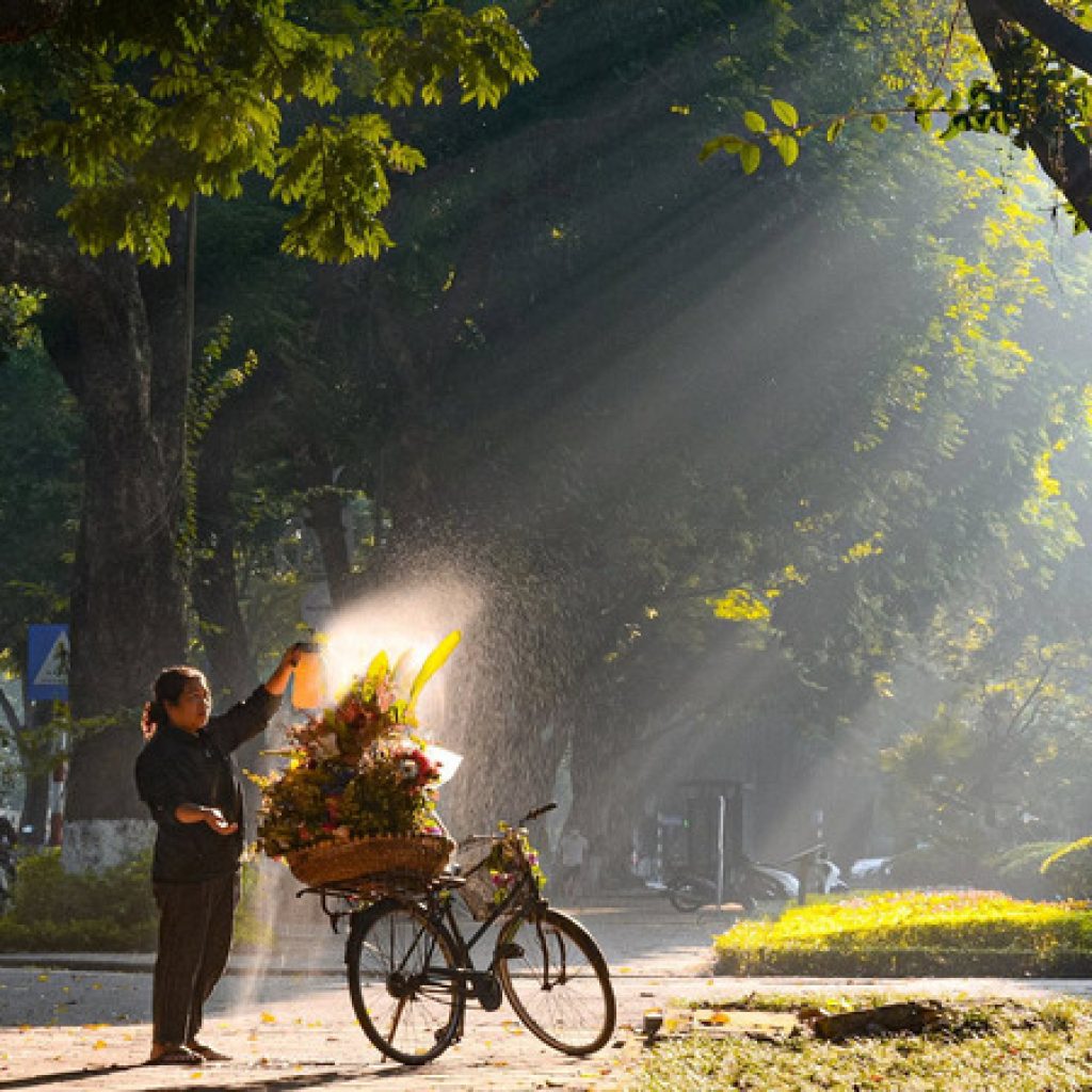 Aventura de lujo en Vietnam