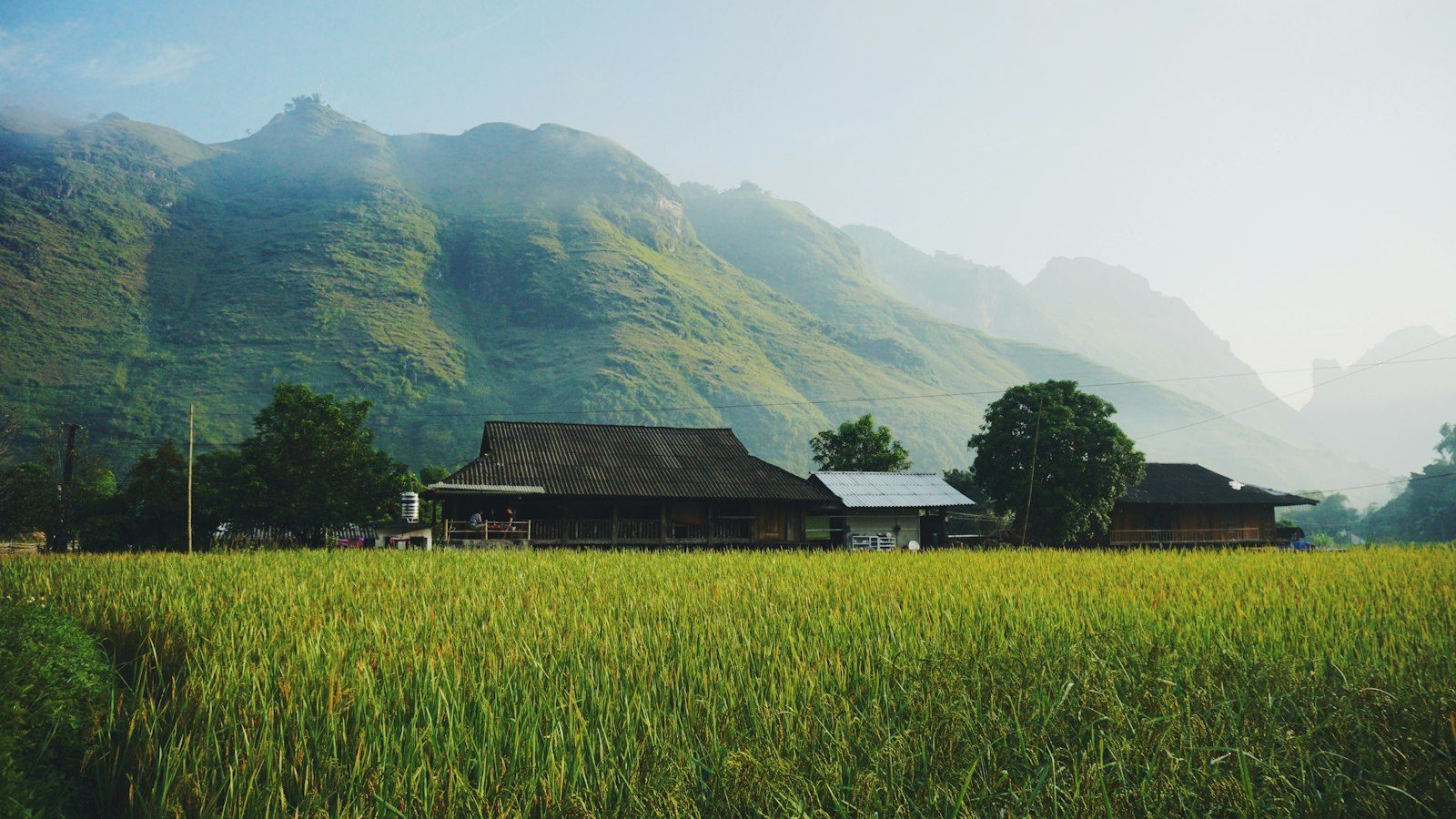 La Selva De Vietnam
