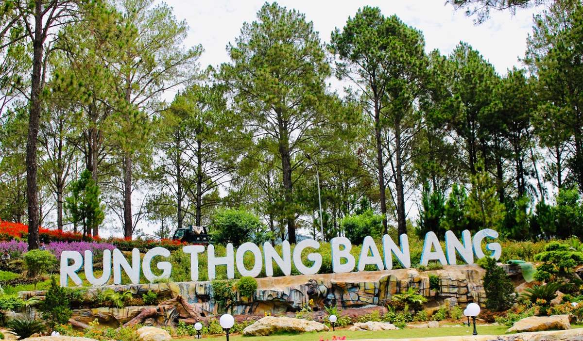 La Selva De Vietnam