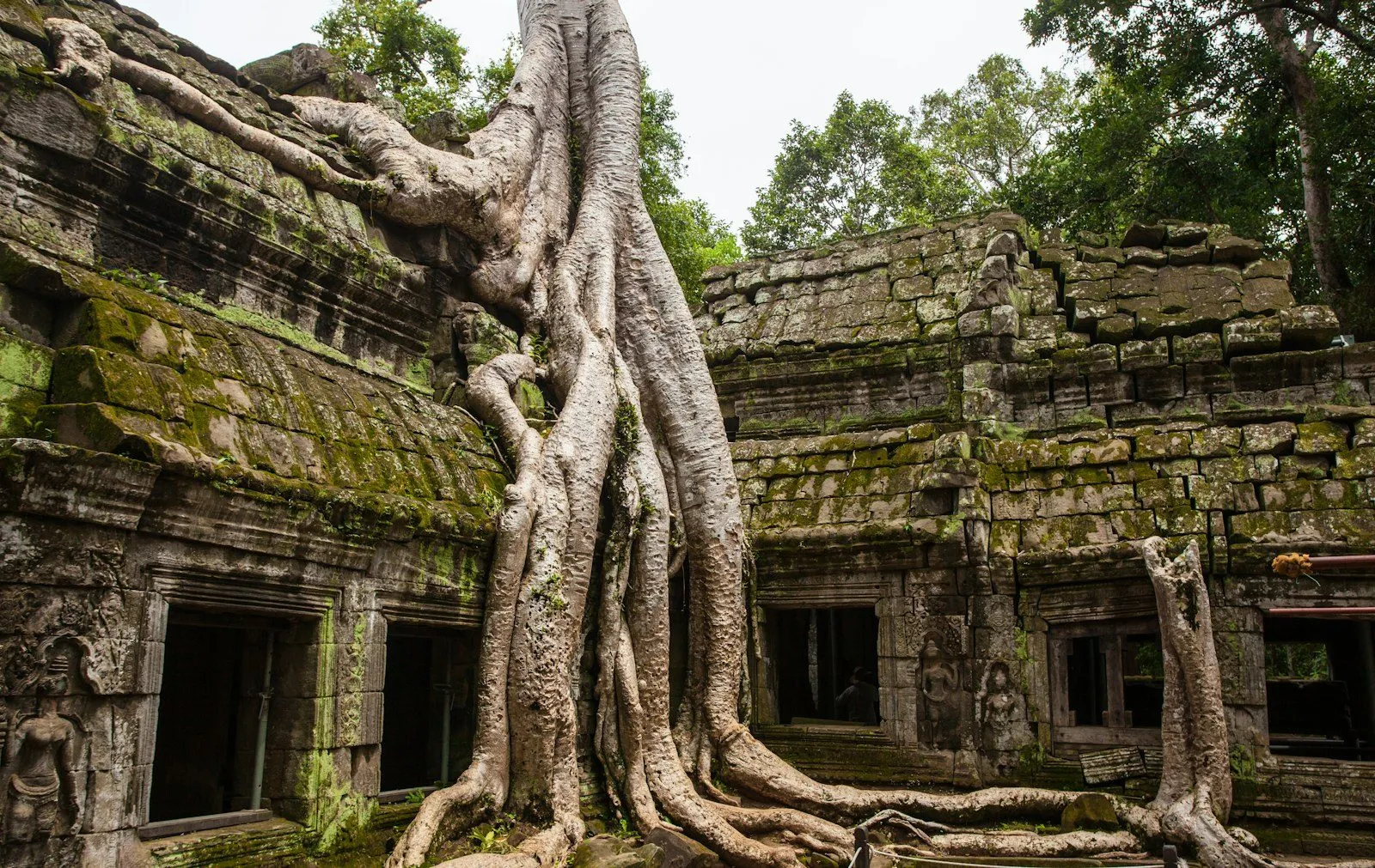 concrete temple with tree root on top