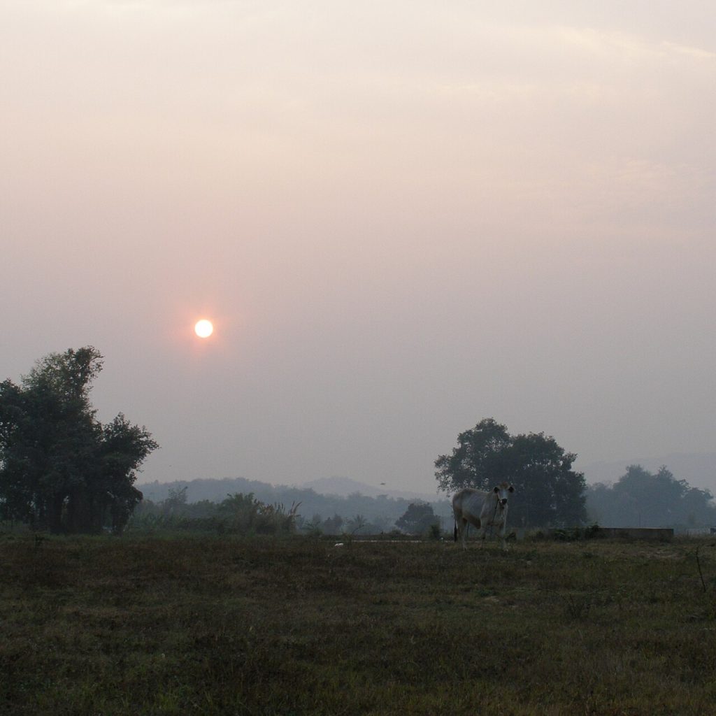 Chiang Saen