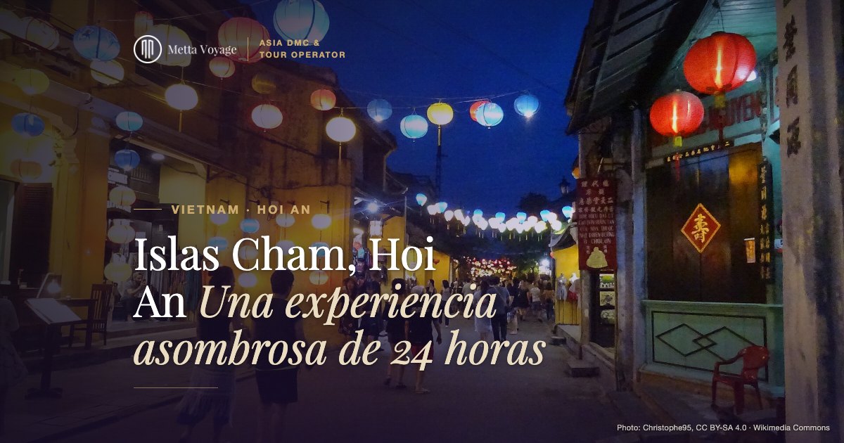 Islas Cham, Hoi An – Una experiencia asombrosa de 24 horas | Metta Voyage