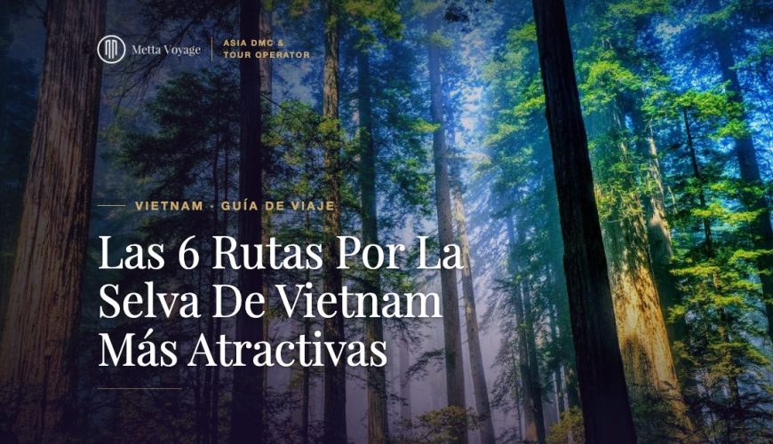 Las 6 Rutas Por La Selva De Vietnam Más Atractivas 2027 | Metta Voyage