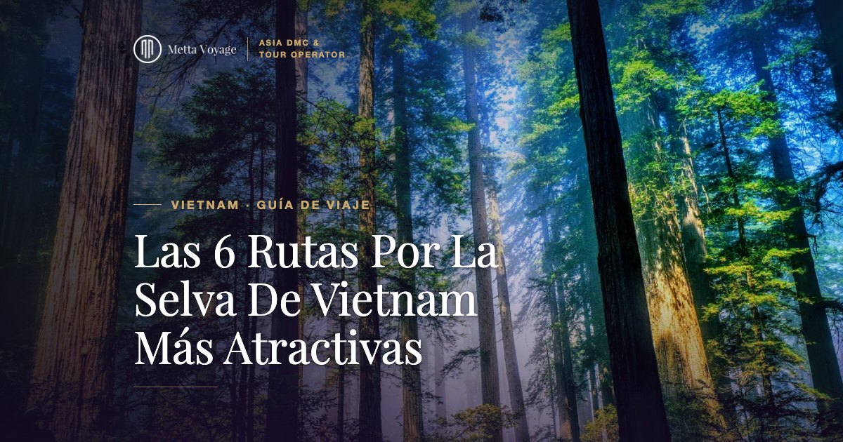 Las 6 Rutas Por La Selva De Vietnam Más Atractivas 2027 | Metta Voyage