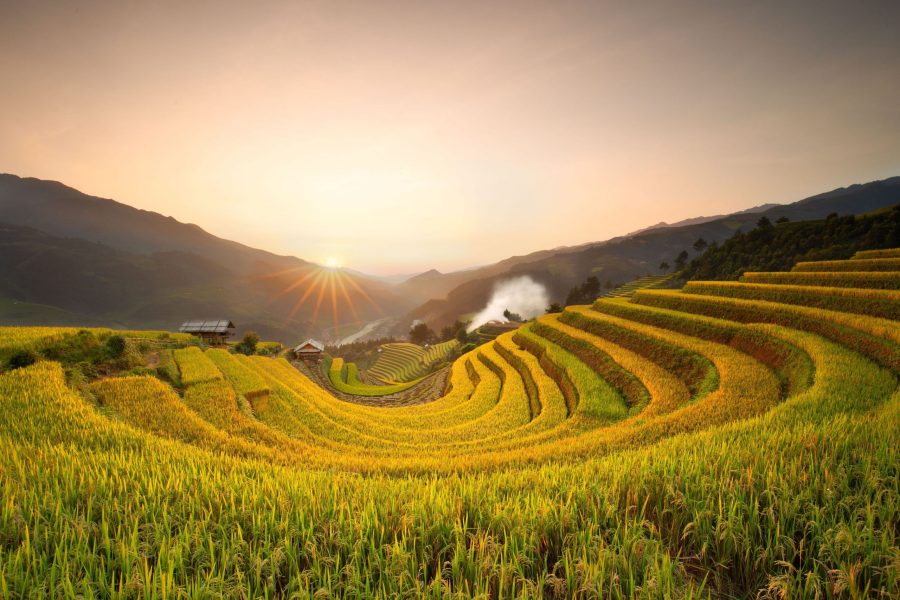 Tour Vietnam 10 giorni