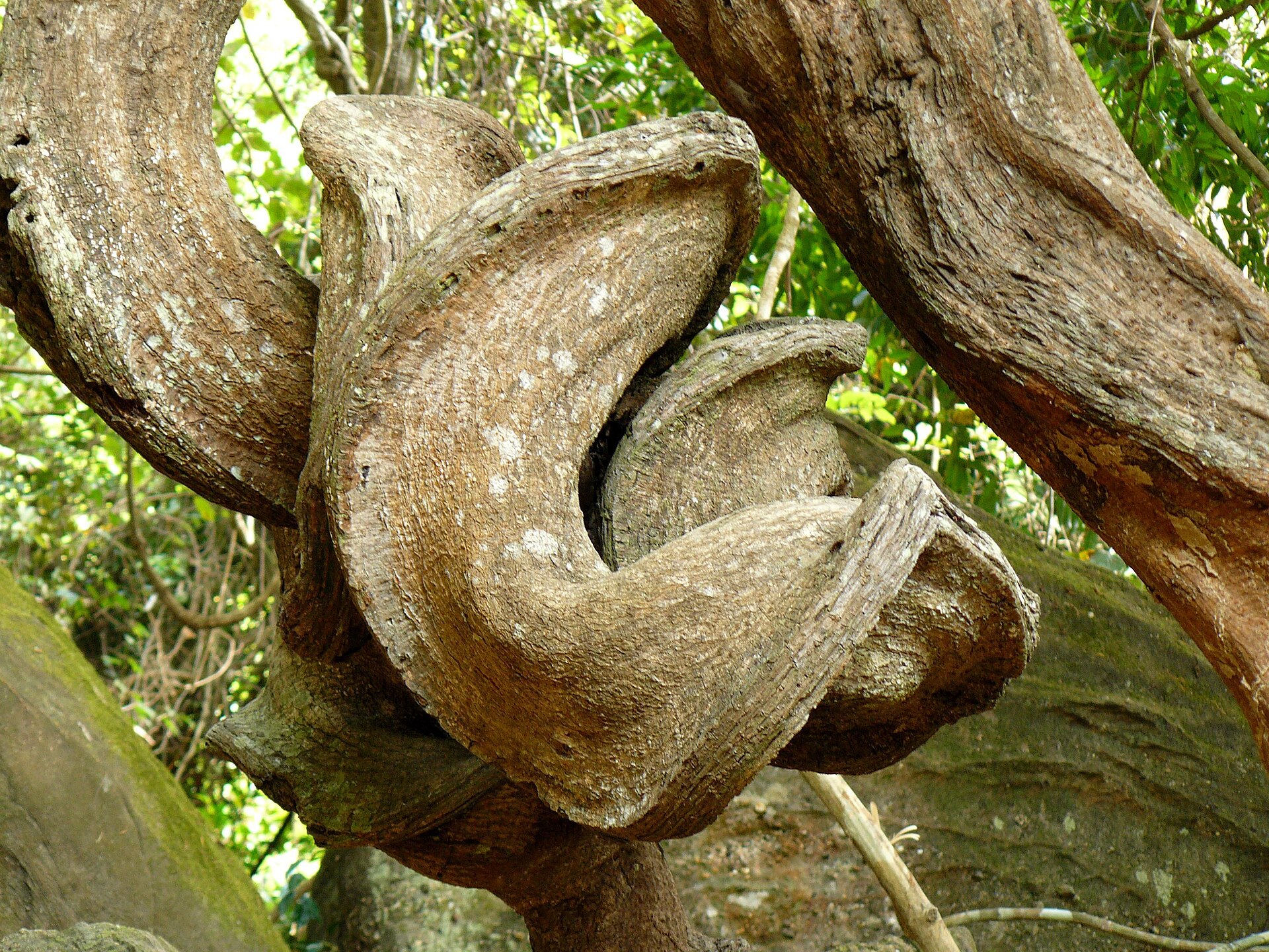 <span>Giorno 3</span> Phnom Kulen, Banteay Srei e Preah Dak