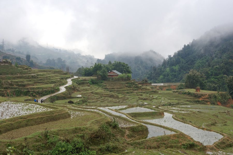 Sapa Rice Terraces