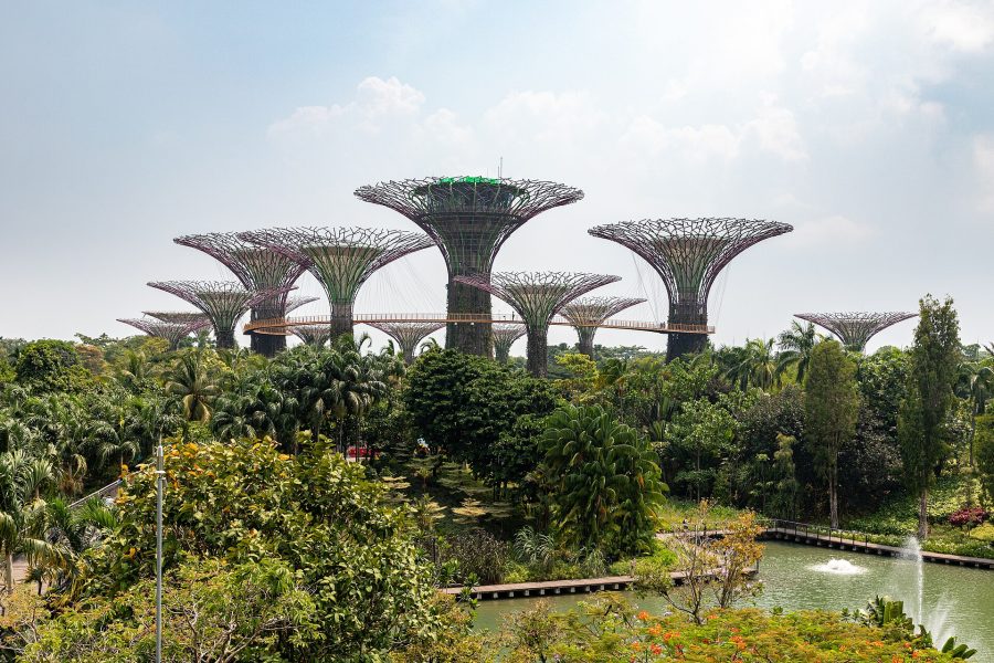 Gardens By The Bay