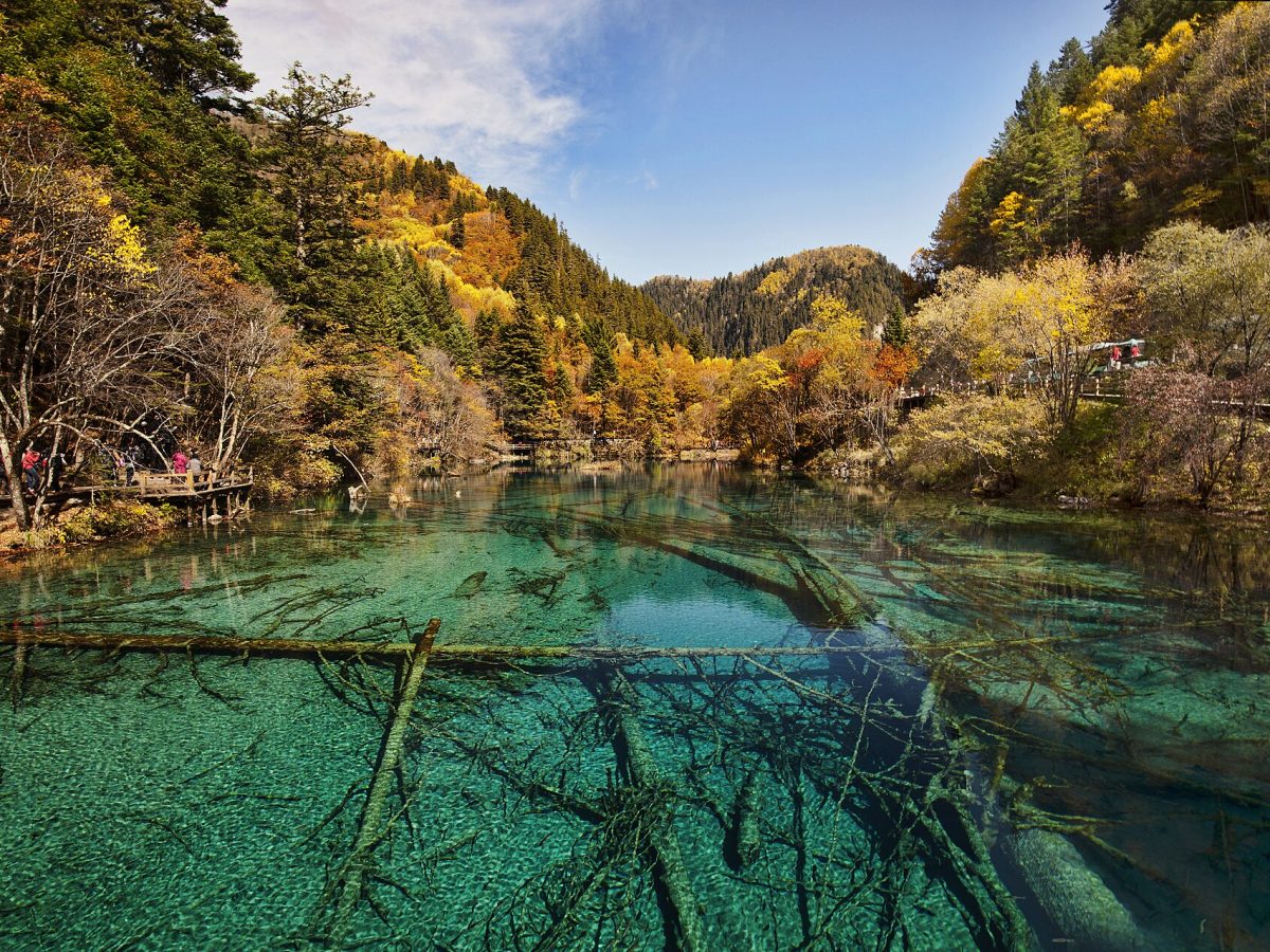 Jiuzhaigou Five Flower Lake