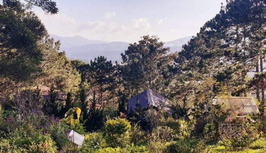dalat vietnam meditation
