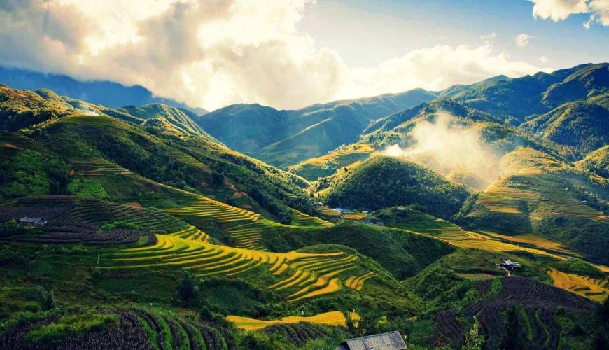 Sapa