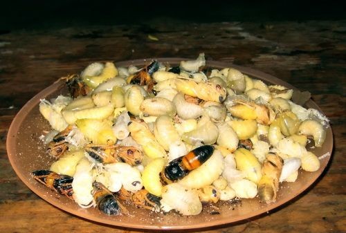 Stir-fried bee pupae with bamboo shoots