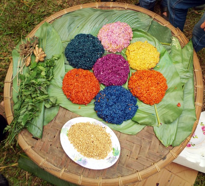 vietnam itinerary 12 days