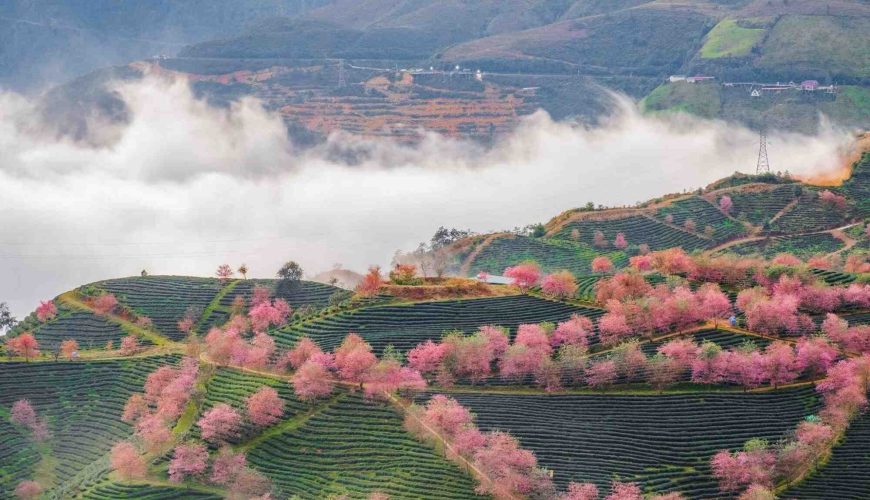 Best 3 Days Sapa Itinerary: An Ultimately Travel Guide Blog