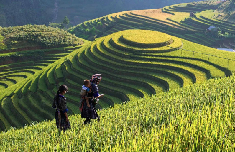 sapa trekking