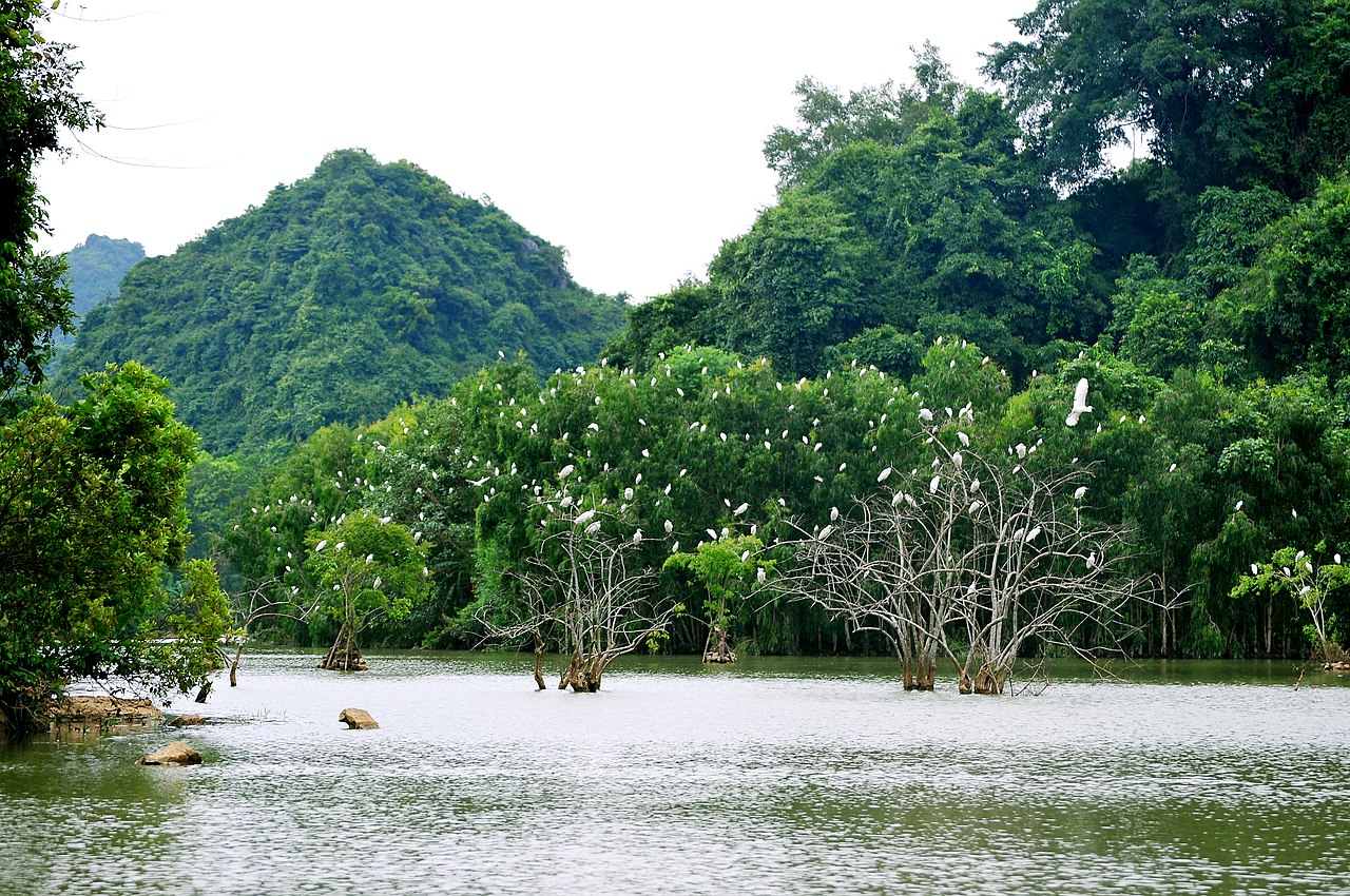 ninh binh day trip