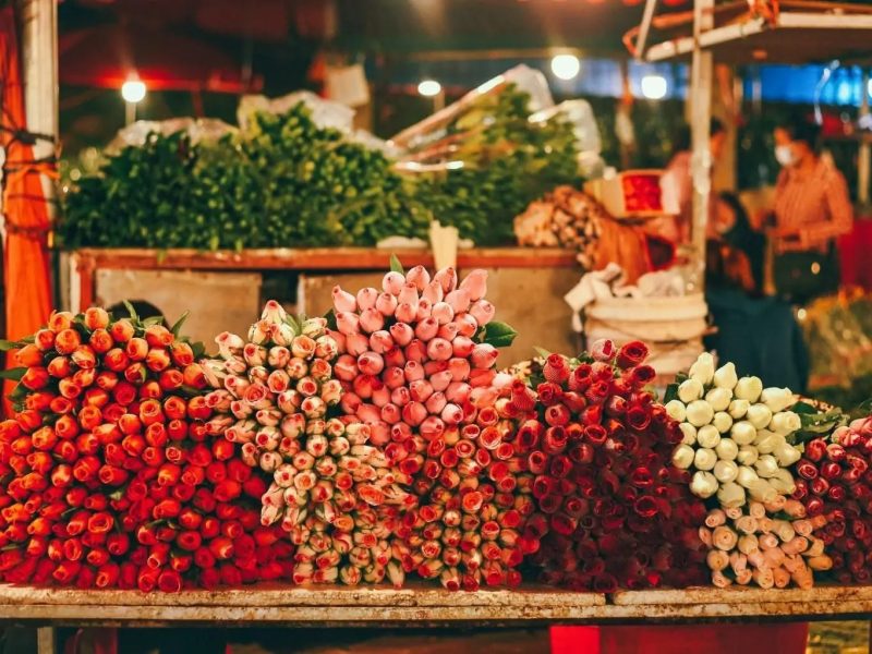 Walking around Hanoi's largest flower market, Quang Ba flower market - What to do in Hanoi