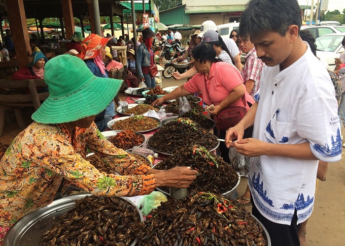 cambodia luxury tour
