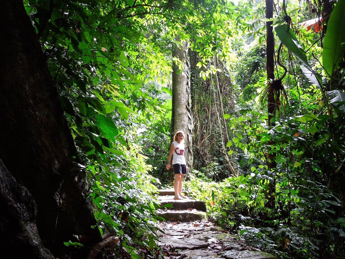 tam coc ninh binh