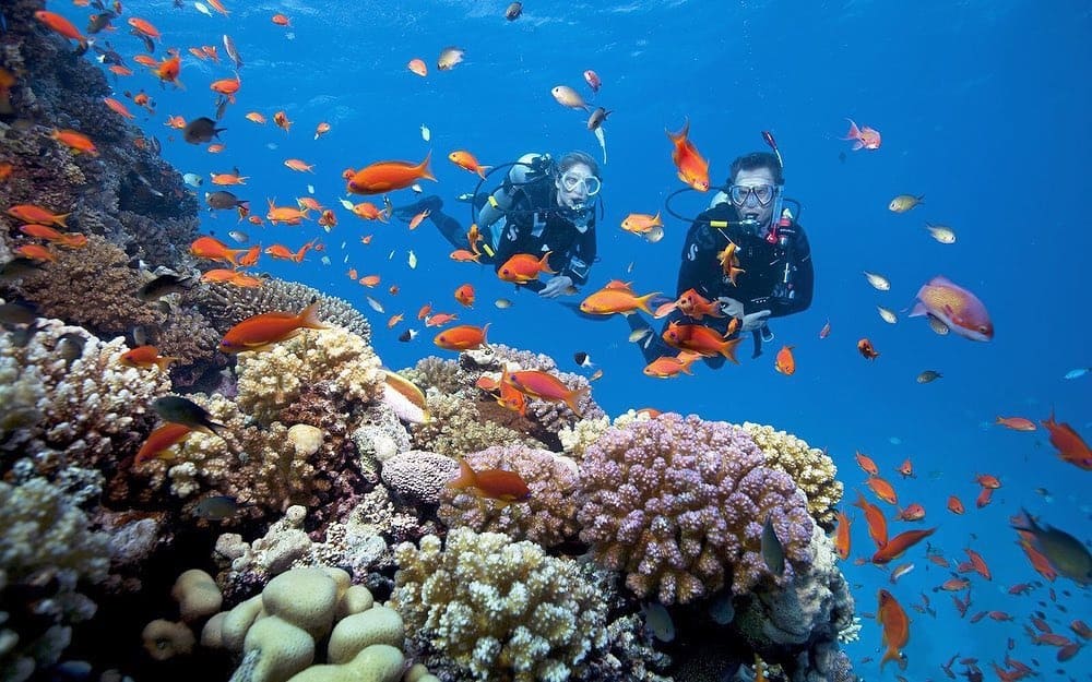 danang tour package