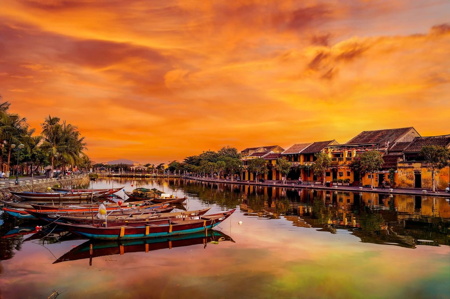 danang my son tour