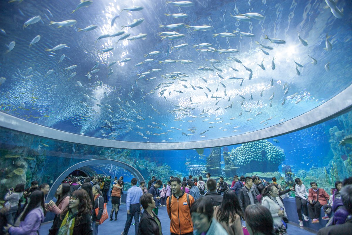 things to do in nha trang