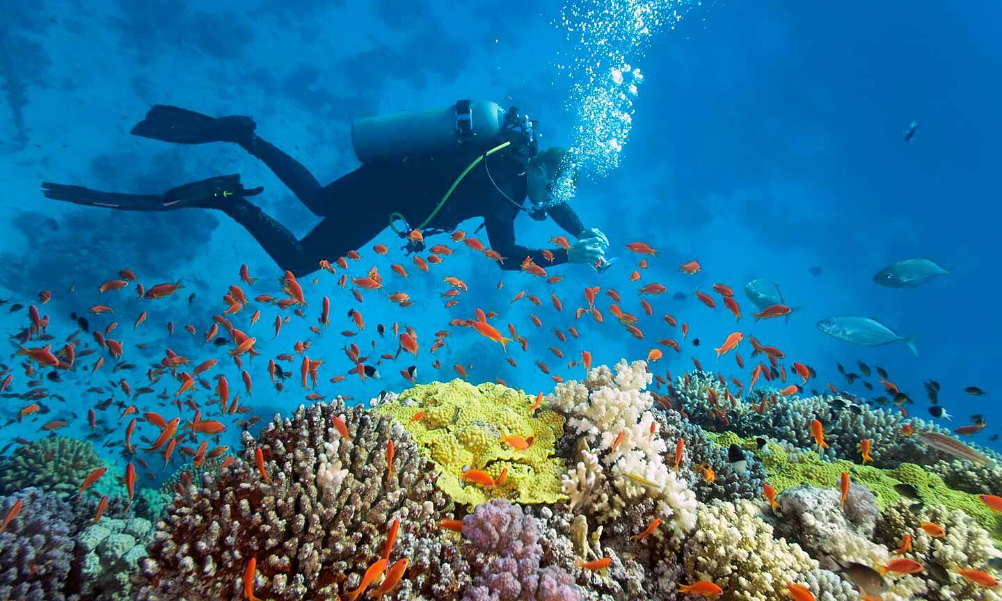 things to do in nha trang