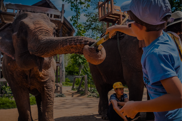 Laos